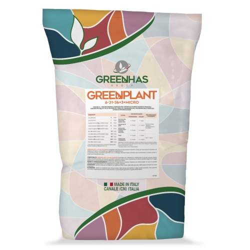 Green Plant 6-21-36 Green Plant 6-21-36