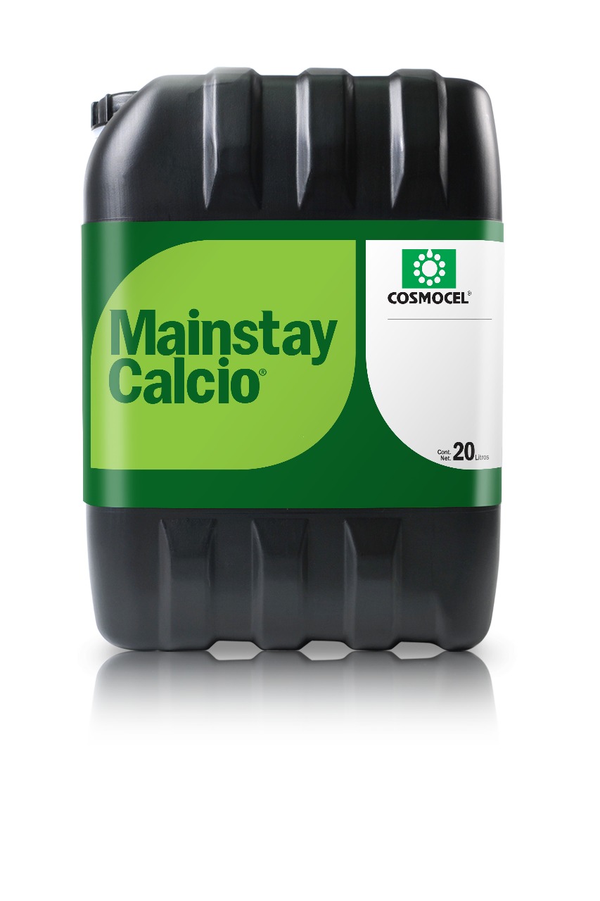 Mainstay Calcio